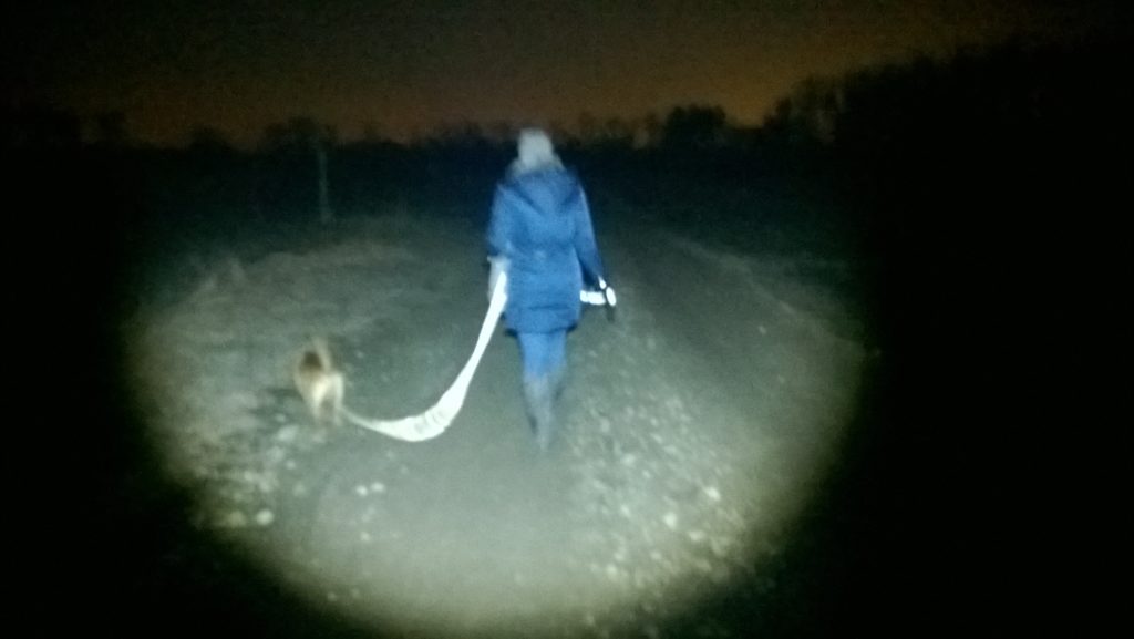 10m światło rozproszone