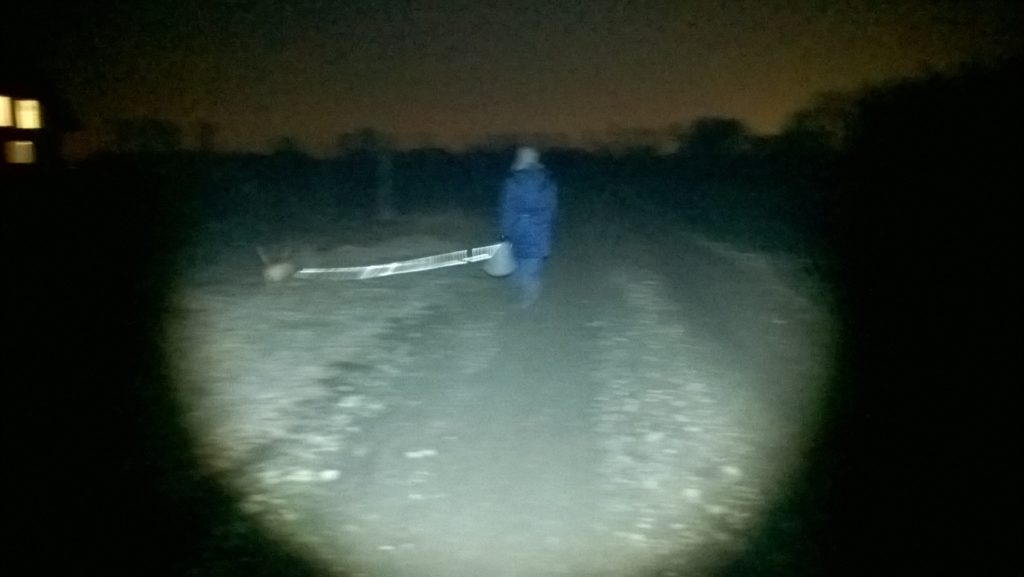 20m światło rozproszone