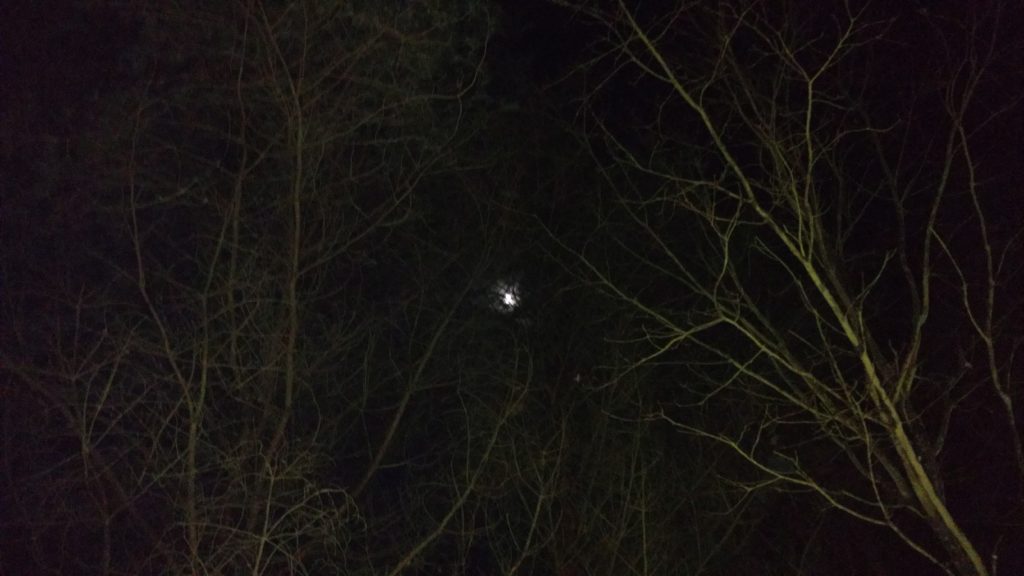 Księżyć chwilami oświetlał nam drogę